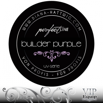 Color Builder Purple